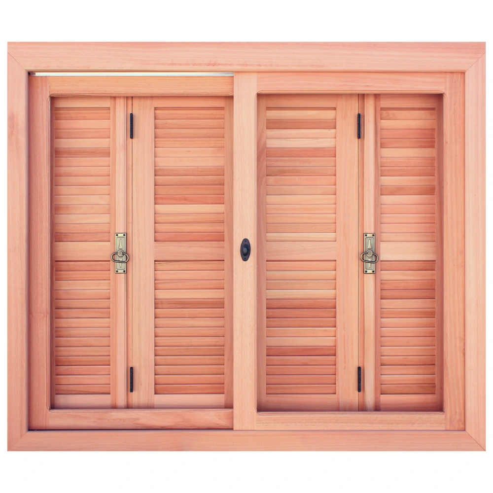 101 01 NORMAL FRENTE